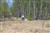 2010 maj 30_0436_redigerad-1.jpg
